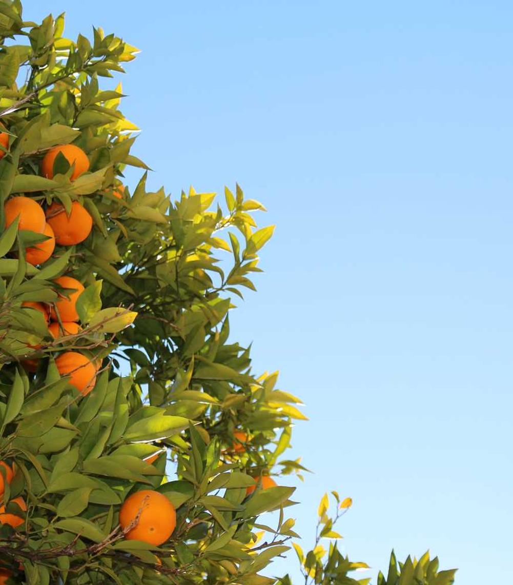 腾讯大王卡免流量范围- 音悦台app详情下载教程